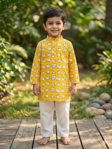 Sunny Elephant Kurta Set