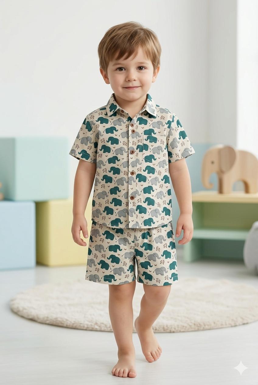 Elephant Print Cotton Co-ord Set