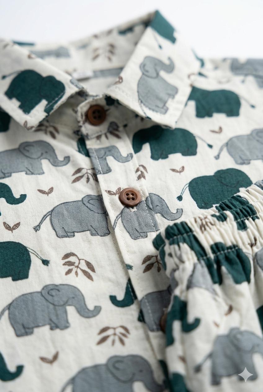 Elephant Print Cotton Co-ord Set