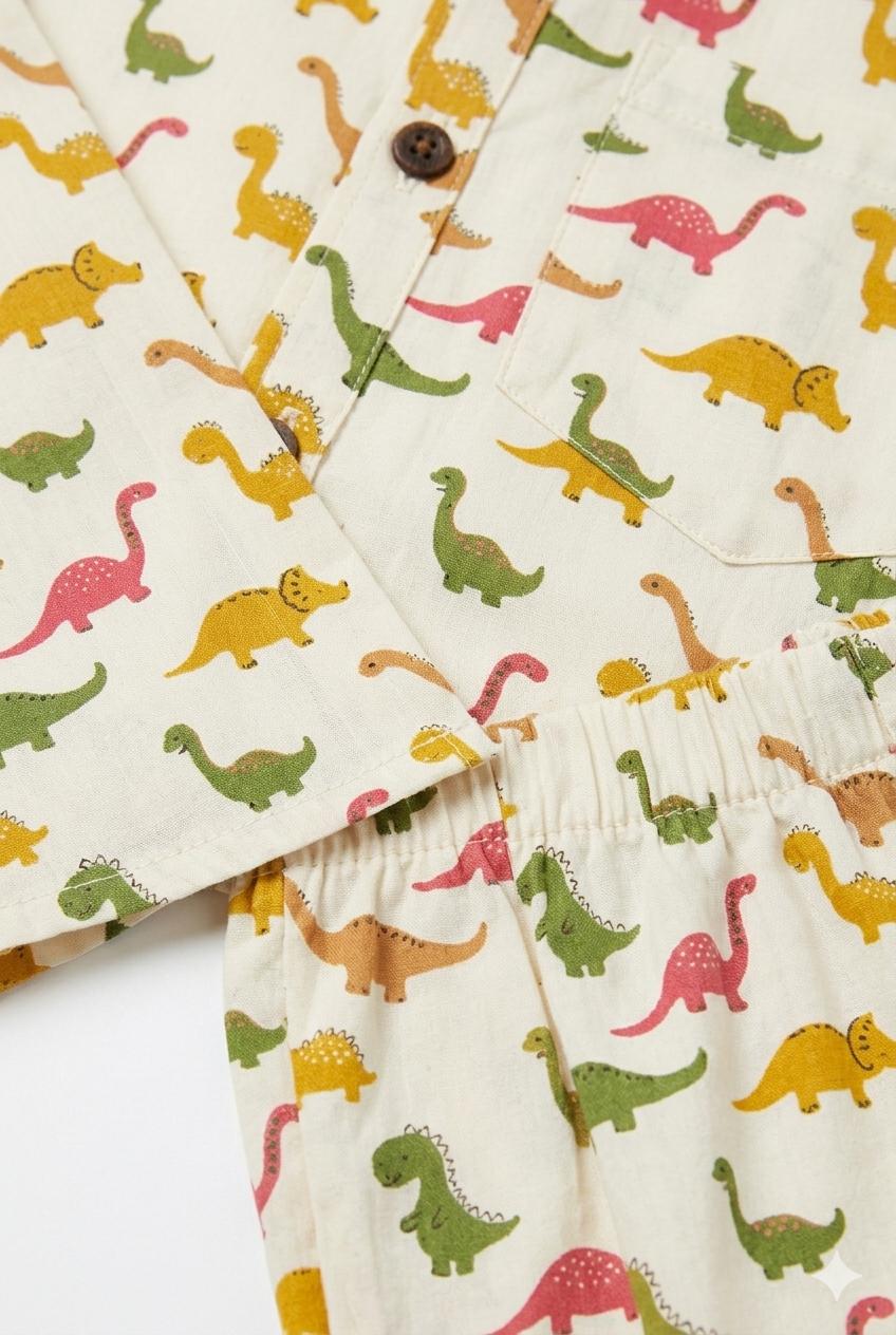 Dinosaur Print Cotton Co-ord Set