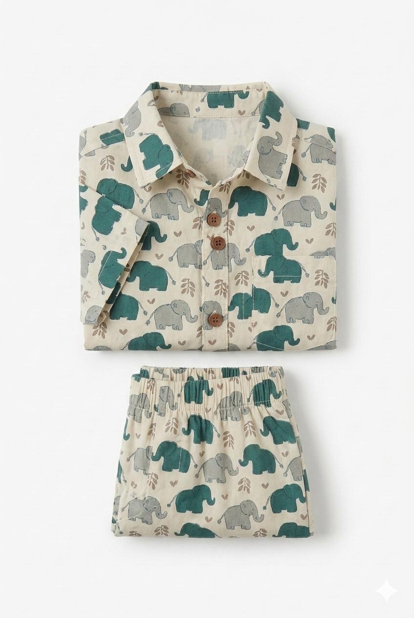 Elephant Print Cotton Co-ord Set